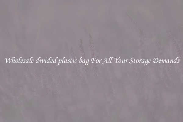 Wholesale divided plastic bag For All Your Storage Demands