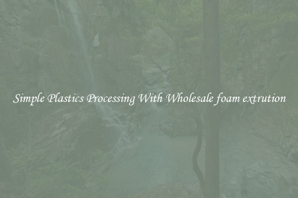 Simple Plastics Processing With Wholesale foam extrution