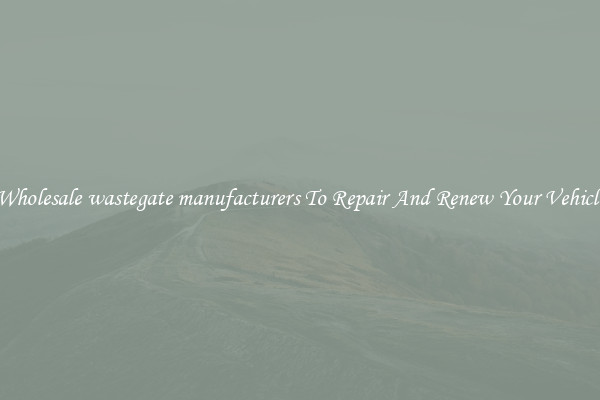 Wholesale wastegate manufacturers To Repair And Renew Your Vehicle
