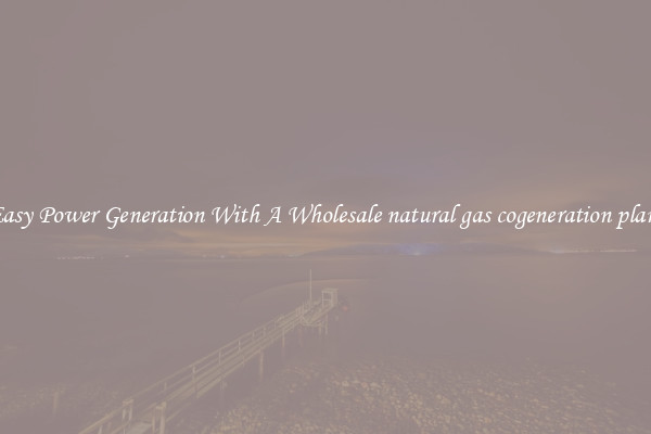 Easy Power Generation With A Wholesale natural gas cogeneration plant
