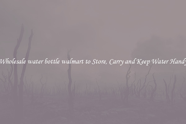 Wholesale water bottle walmart to Store, Carry and Keep Water Handy
