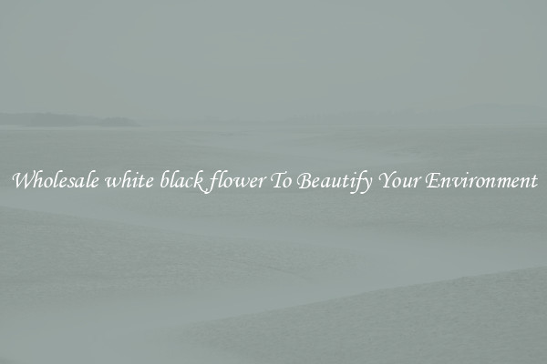Wholesale white black flower To Beautify Your Environment