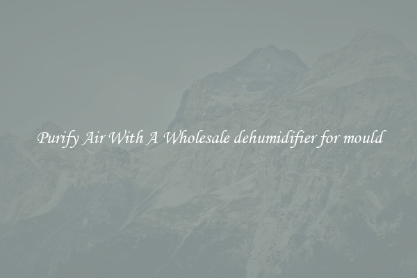 Purify Air With A Wholesale dehumidifier for mould
