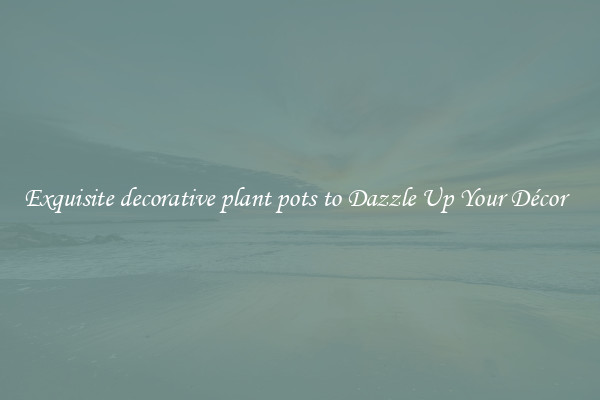 Exquisite decorative plant pots to Dazzle Up Your Décor  