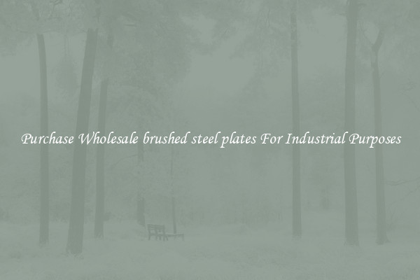 Purchase Wholesale brushed steel plates For Industrial Purposes