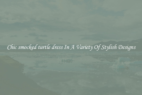 Chic smocked turtle dress In A Variety Of Stylish Designs