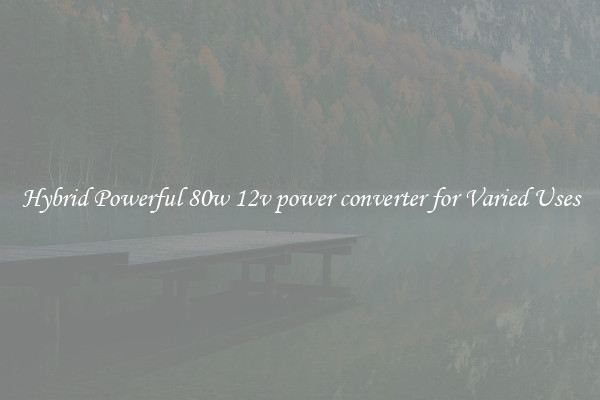 Hybrid Powerful 80w 12v power converter for Varied Uses