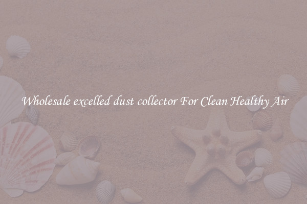 Wholesale excelled dust collector For Clean Healthy Air