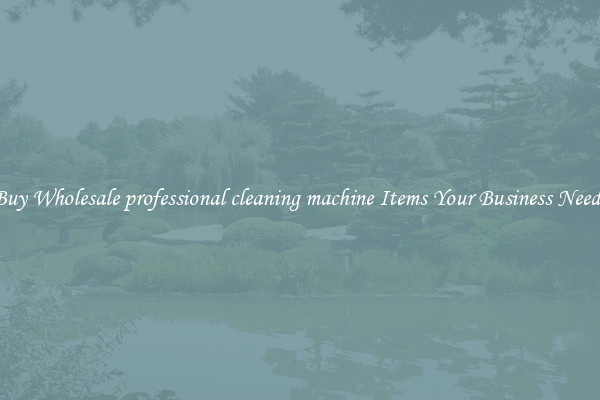 Buy Wholesale professional cleaning machine Items Your Business Needs