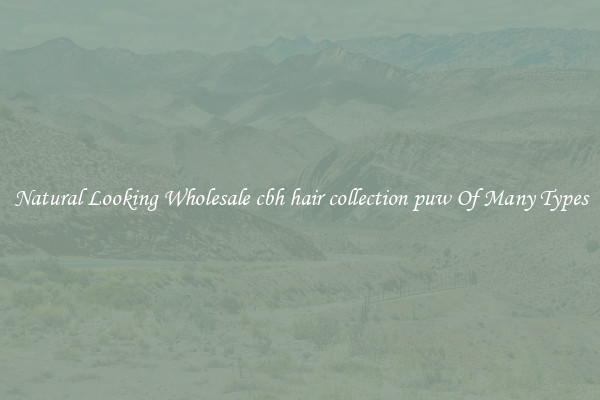 Natural Looking Wholesale cbh hair collection puw Of Many Types