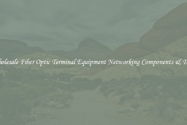 Wholesale Fiber Optic Terminal Equipment Networking Components & Tools