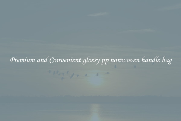 Premium and Convenient glossy pp nonwoven handle bag