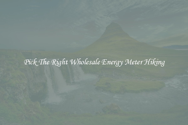 Pick The Right Wholesale Energy Meter Hiking