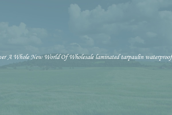 Discover A Whole New World Of Wholesale laminated tarpaulin waterproof fabric