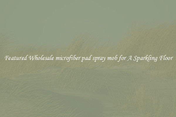 Featured Wholesale microfiber pad spray mob for A Sparkling Floor