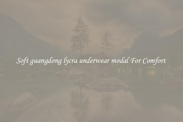 Soft guangdong lycra underwear modal For Comfort 