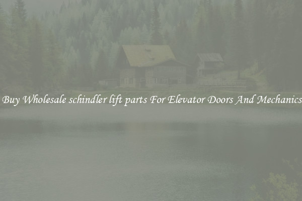 Buy Wholesale schindler lift parts For Elevator Doors And Mechanics