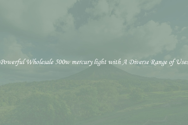 Powerful Wholesale 500w mercury light with A Diverse Range of Uses