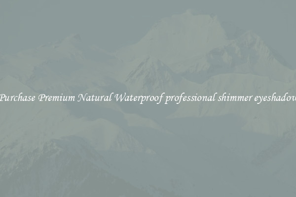 Purchase Premium Natural Waterproof professional shimmer eyeshadow