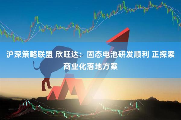 沪深策略联盟 欣旺达：固态电池研发顺利 正探索商业化落地方案