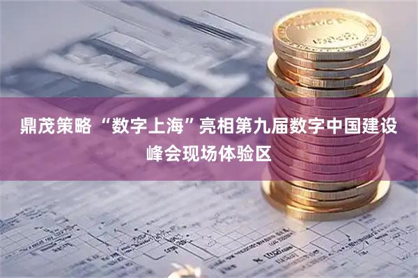 鼎茂策略 “数字上海”亮相第九届数字中国建设峰会现场体验区